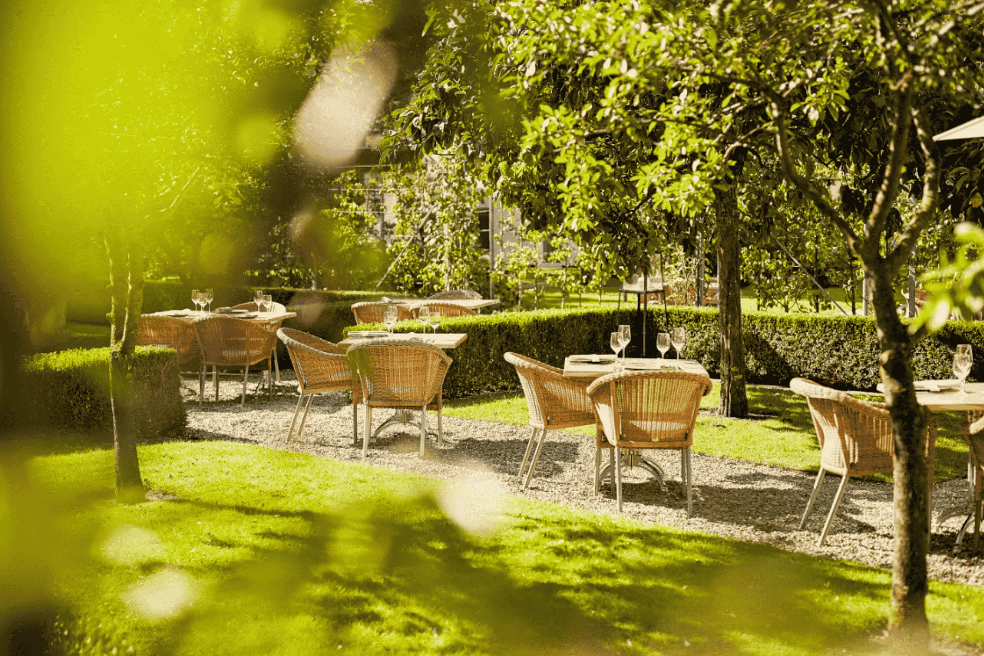 Boomgaard Brasserie Goeie Louisa